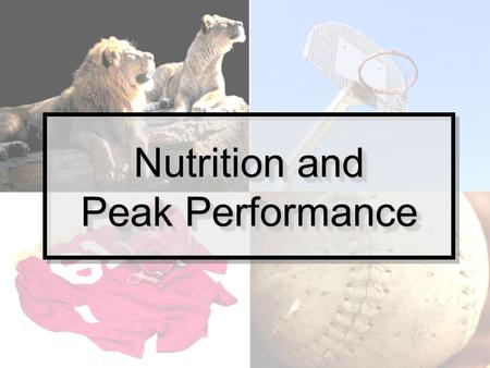 Nutrition and Peak Performance. What to do when nutrition is your missing link. “ I train really hard and I’m not seeing results.” “What should I eat.
