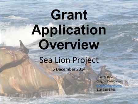 Grant Application Overview Sea Lion Project 5 December 2014 Josette Rice Chigosi Company 619-368-3763.