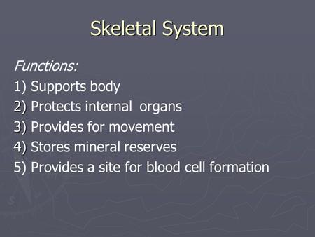 Skeletal System Functions: 1) Supports body