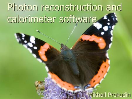 Photon reconstruction and calorimeter software Mikhail Prokudin.