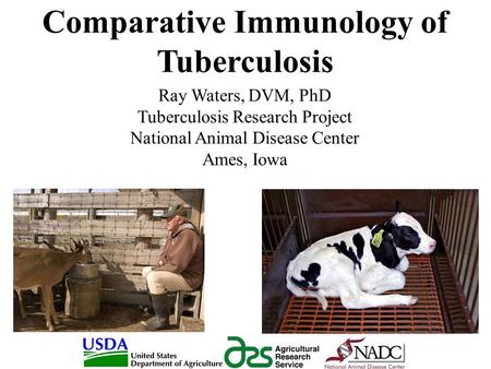 Comparative Immunology of Tuberculosis Ray Waters, DVM, PhD Tuberculosis Research Project National Animal Disease Center Ames, Iowa.