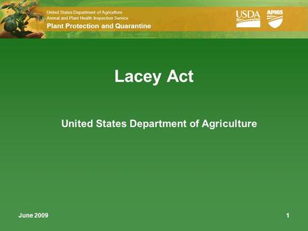 United States Department of Agriculture Animal and Plant Health Inspection Service Plant Protection and Quarantine June 20091 Lacey Act United States Department.