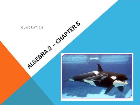 Algebra 2 – Chapter 5 Quadratics.