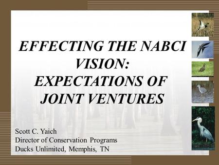 EFFECTING THE NABCI VISION: EXPECTATIONS OF JOINT VENTURES Scott C. Yaich Director of Conservation Programs Ducks Unlimited, Memphis, TN.