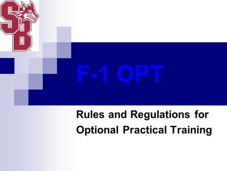 Rules and Regulations for Optional Practical Training