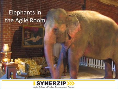 Www.synerzip.com Elephants in the Agile Room. Reflections on 10 Years of Agility Todd Little Sr. Development Manager Landmark Graphics.