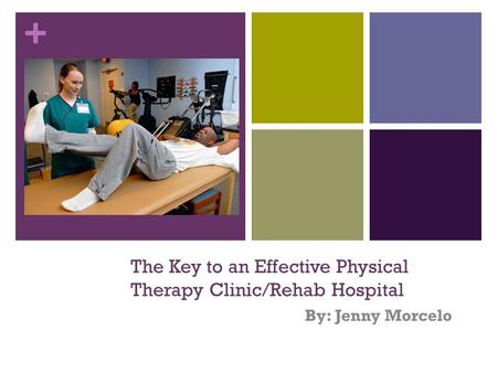 + The Key to an Effective Physical Therapy Clinic/Rehab Hospital By: Jenny Morcelo.