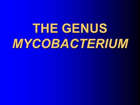 THE GENUS MYCOBACTERIUM