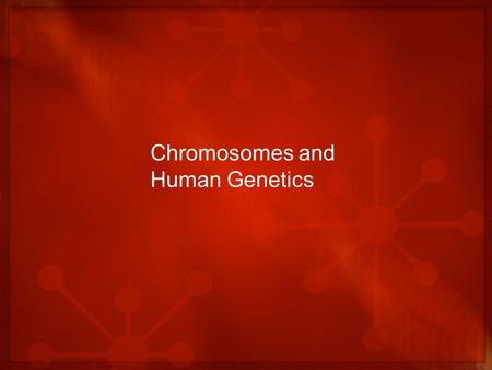 Chromosomes and Human Genetics. The Chromosomal Basis of Inheritance A time to review A gene – a unit of information about a heritable trait – found at.