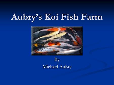 Aubry’s Koi Fish Farm By Michael Aubry. Business Overview Aubry’s Koi Fish Farm is a high quality reseller and purveyor of premium Koi and other exotic.