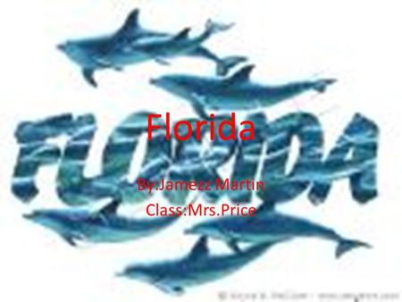 Florida By:Jamezz Martin Class:Mrs.Price. Florida Outline.