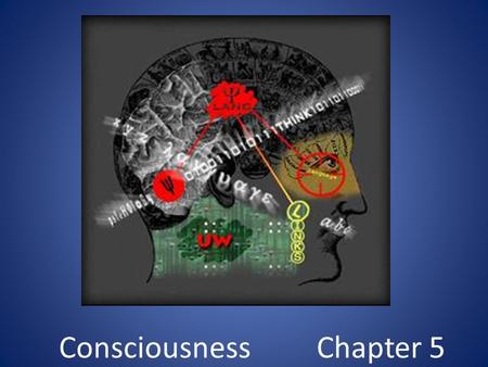 Consciousness Chapter 5