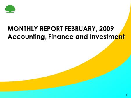 1 MONTHLY REPORT FEBRUARY, 2009 Accounting, Finance and Investment.