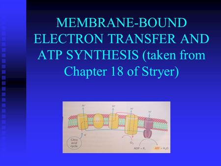 FREE ENERGY – MOST USEFUL THERMODYNAMIC CONCEPT IN BIOCHEMISTRY