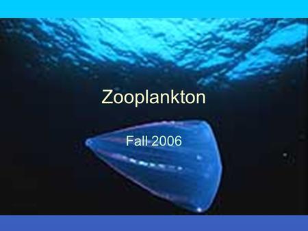 Zooplankton Fall 2006. Plankton Holoplankton Meroplankton Plankton Classification.