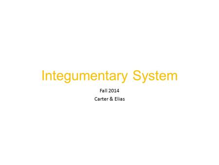 Integumentary System Fall 2014 Carter & Elias. Anatomy review.