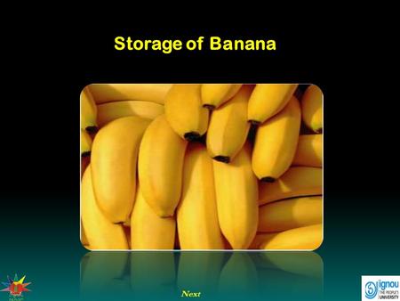 Next Storage of Banana. Introduction Storage in case of banana refers to keeping banana hands in safe condition for sufficiently long duration of time.