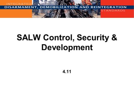 SALW Control, Security & Development 4.11. Overview Introduction DDR and SALW Control International agreements SALW Control measures Guiding principles.