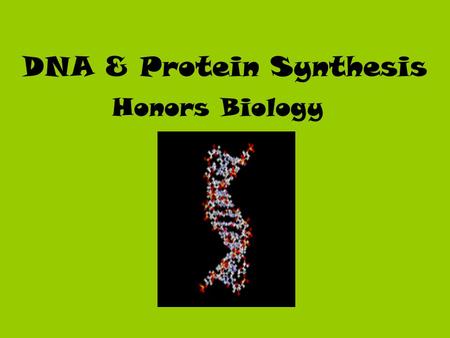 DNA & Protein Synthesis Honors Biology. History Before the 1940’s scientists didn’t know what material caused inheritance. They suspected it was either.
