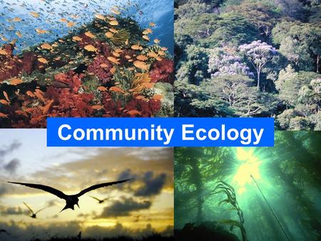 Community Ecology The course webpage: http://www.kharms.biology.lsu.edu/BIOL7083Spring2013.html.