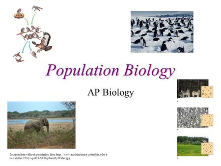 Population Biology AP Biology Image taken without permission fron  newsletter/2003/april03/SLElephantbyWater.jpg.