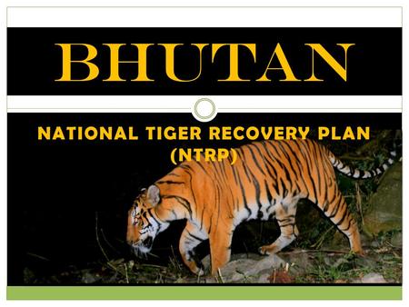 NATIONAL TIGER RECOVERY PLAN (NTRP) BHUTAN. Long Term Strategic Goal By 2022, tiger meta-population in Bhutan thrives and co-exists harmoniously with.