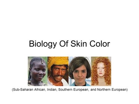 Biology Of Skin Color (Sub-Saharan African, Indian, Southern European, and Northern European)
