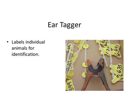 Ear Tagger Labels individual animals for identification.