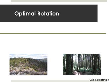 Optimal Rotation. Biological vs. Economic Criteria  What age should we harvest timber?  Could pick the age to yield a certain size  Or could pick an.