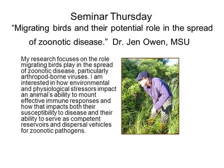 Seminar Thursday “Migrating birds and their potential role in the spread of zoonotic disease.” Dr. Jen Owen, MSU  My research focuses on the role migrating.
