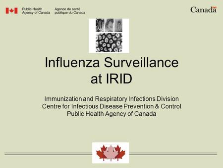Influenza Surveillance at IRID Immunization and Respiratory Infections Division Centre for Infectious Disease Prevention & Control Public Health Agency.