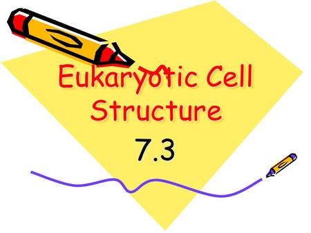 Eukaryotic Cell Structure 7.3. Just like on a sports team or in an office, cells are composed of many important people/organelles that each fulfill a.