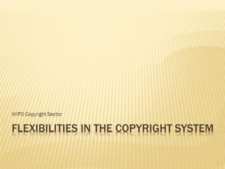 WIPO Copyright Sector 1.  Fundamental or constitutional rights or public interest: freedom of speech, access to information, right for education, enjoyment.