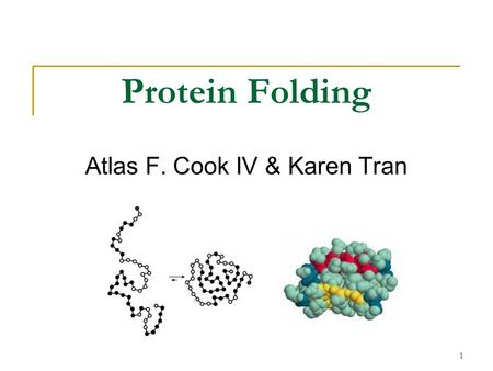 1 Protein Folding Atlas F. Cook IV & Karen Tran. 2 Overview What is Protein Folding? Motivation Experimental Difficulties Simulation Models:  Configuration.