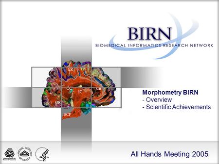 All Hands Meeting 2005 Morphometry BIRN - Overview - Scientific Achievements.