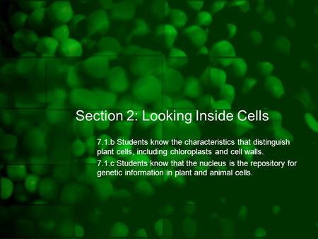 Section 2: Looking Inside Cells