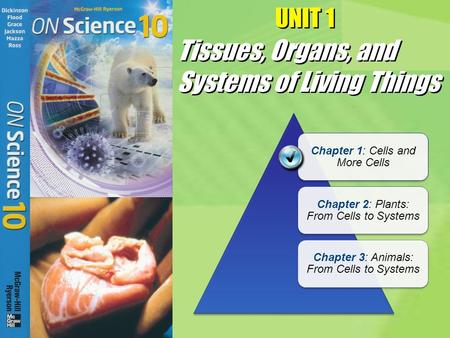Tissues, Organs, and Systems of Living Things