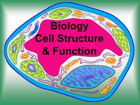 Biology Cell Structure & Function