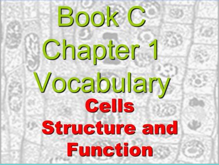 Book C Chapter 1 Vocabulary