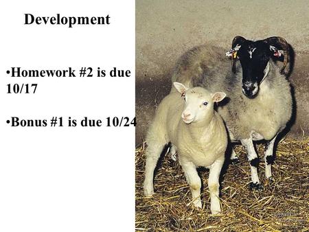 Development Homework #2 is due 10/17 Bonus #1 is due 10/24.