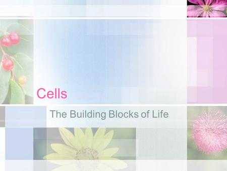 Cells The Building Blocks of Life. The cell is the structural and functional unit of all known living organisms. It is the simplest unit of an organism.