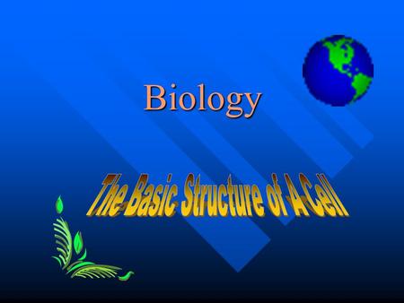 Biology CELL CELL The basic unit of structure and function in living organisms. The basic unit of structure and function in living organisms. Extremely.