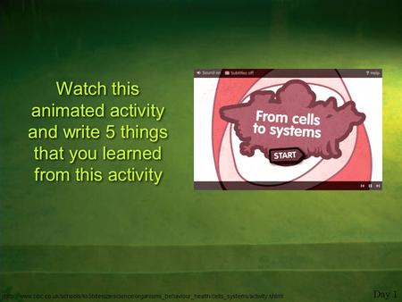 Watch this animated activity and write 5 things that you learned from this activity Day 1