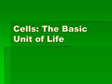 Cells: The Basic Unit of Life. Organization of Life  Everything has a least one cell  Many living things exist as only one cell  Other living things.