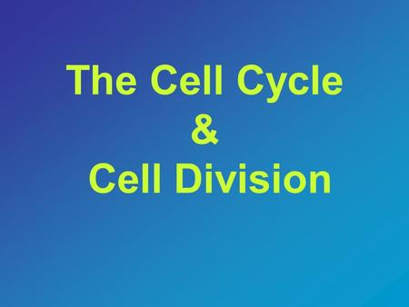 The Cell Cycle & Cell Division - ppt video online download