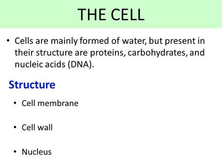 THE CELL Cells are mainly formed of water, but present in their structure are proteins, carbohydrates, and nucleic acids (DNA). Structure Cell membrane.