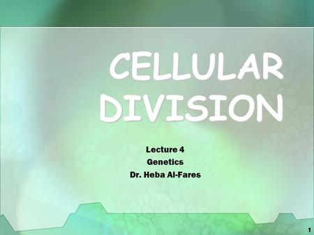 Cellular Division Lecture 4 Genetics Dr. Heba Al-Fares.