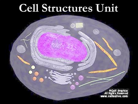 Cell Structures Unit. Cells – What are they? Specific Separate mass surrounded by a semi- permeable membrane The basic structural unit of life All organisms.