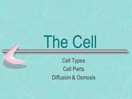 The Cell Cell Types Cell Parts Diffusion & Osmosis.
