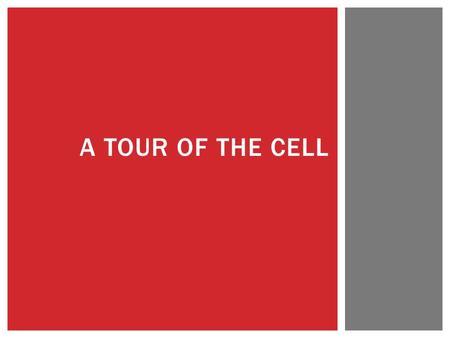 A tour of the cell.